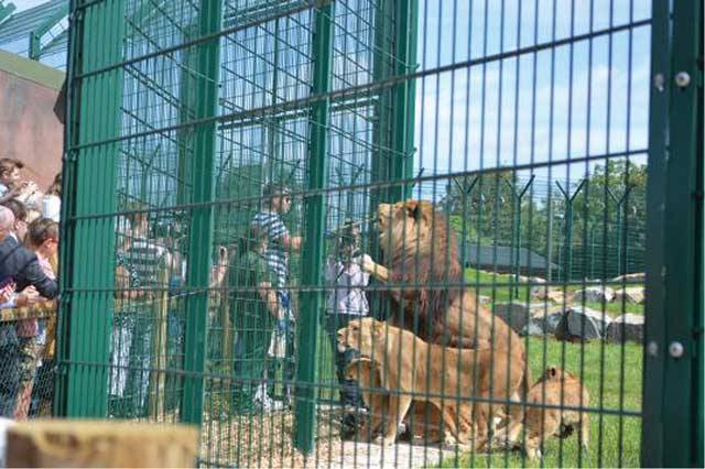 باغ وحش و مزارع پرورش حیوانات